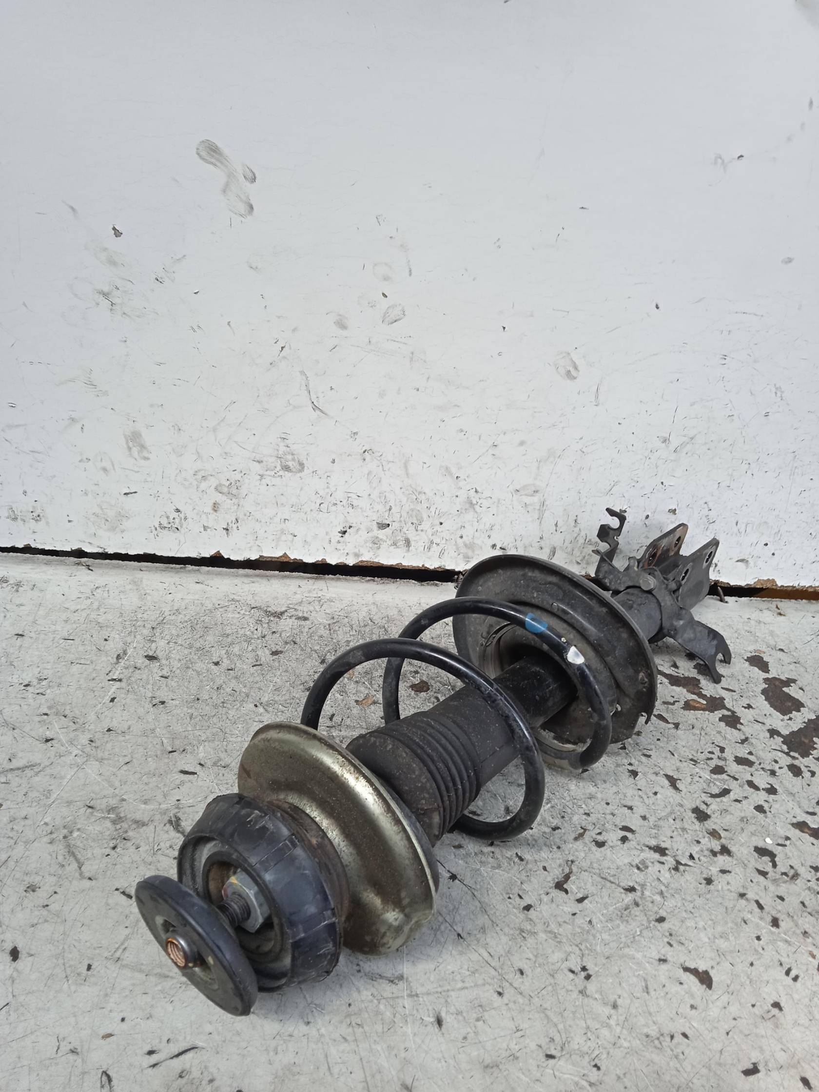 Ammortizzatore ant. sx.